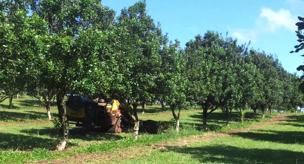  zero turn macadamia harvester